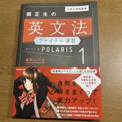 大学入試問題集 関正生の英文法ファイナル演習ポラリス[1 標準レベル]のサムネイル