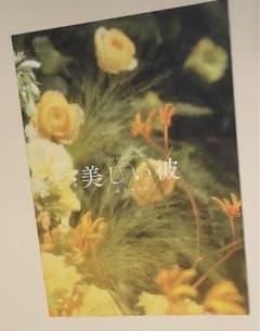 新品未読 劇場版 美しい彼 パンフレット 映画のサムネイル