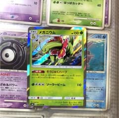 メガニウム そうじゅくハーブのサムネイル