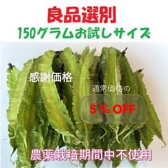 数量限定5%オフ 四角豆　シカクマメ 150g 無農薬栽培　良品選別のサムネイル