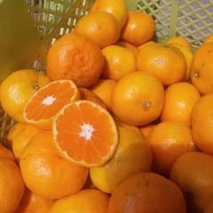 スカイ様★専用みかん５キロのサムネイル