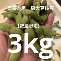 【数量限定】兵庫県産　黒大豆枝豆　訳ありB品　さやのみ　3kg 大容量のサムネイル