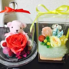 げっけ様専用のサムネイル