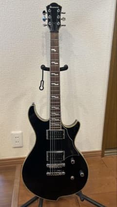 Ibanez DN500 エレキギター ブラックのサムネイル