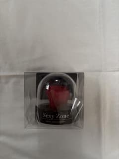Sexy Zone 10th Anniversary ローズドームのサムネイル
