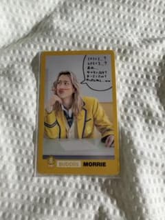 BUDDiiS MORRIE トレカ エビライ ランダムトレカのサムネイル