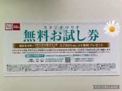 スタジオマリオ　無料お試し券のサムネイル