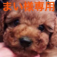 まい様専用のサムネイル