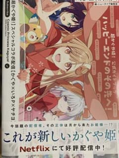 超かぐや姫！公式ガイドブックのサムネイル