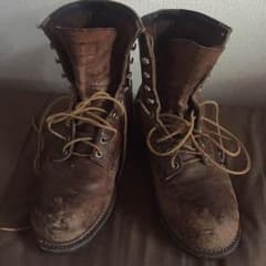 redwingのサムネイル