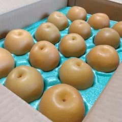 豊水梨 15〜18個入 山形県産 No.75のサムネイル