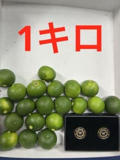 ハウススダチ　家庭用　1キロのサムネイル