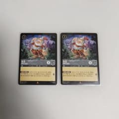 ロルカナ 先生 剛胆なる騎士 通常2枚 - メルカリ