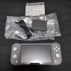 Nintendo Switch Lite 本体 グレー 専用アダプター付き - メルカリ
