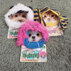 ペット用　変身ほっかむり 3種類のサムネイル