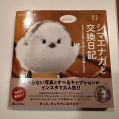 シマエナガと交換日記 ときどき森の仲間たちも登場しますのサムネイル