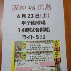 阪神vs広島6/23、ライト５段通路ペアのサムネイル