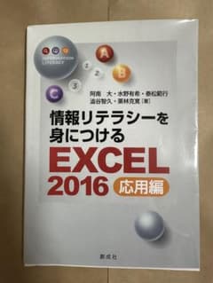 情報リテラシーを身につける EXCEL 2016 応用編のサムネイル