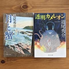 【道尾秀介作品 2冊セット】月と蟹、透明カメレオンのサムネイル