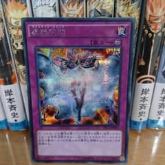 遊戯王 虚無空間 シークレットのサムネイル