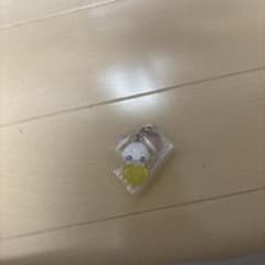 푸치큐아 메지루시 액세서리