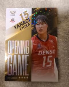 み*る様 Vコレ リアルカード　デンソーエアリービーズ　柳選手のサムネイル