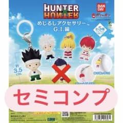 HUNTER×HUNTER めじるしアクセサリー G.I.編 セミコンプのサムネイル
