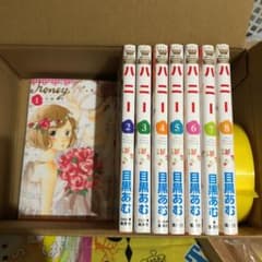ハニー ❣️全巻セットのサムネイル