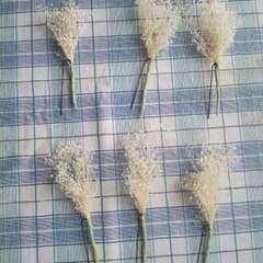 かすみ草　プリザーブドフラワーのサムネイル