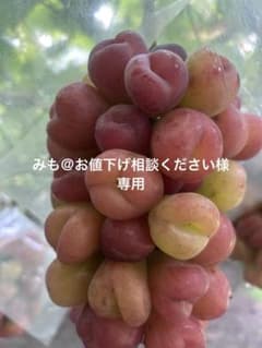 みも@お値下げ相談ください様専用 マイハート房のサムネイル