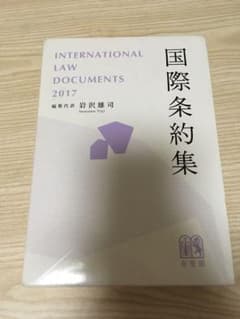 国際条約集のサムネイル