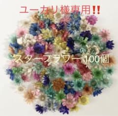 [ユーカリ様専用!!]  スターフラワーミニ200個のサムネイル