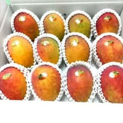沖縄県産マンゴー5.8キロ送料込みのサムネイル