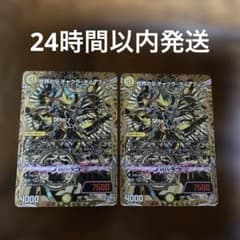 世界のy チャクラ・デル・フィン シク シークレット 2枚 メルカリ便