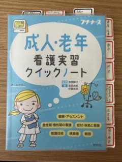 プチナース 成人・老年看護実習クイックノートのサムネイル