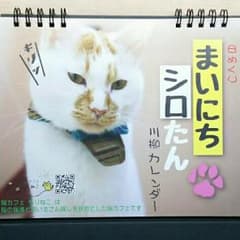 ひめくりまいにちシロたん川柳カレンダーのサムネイル