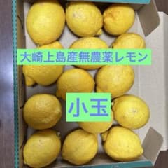 大崎上島産無農薬レモン17のサムネイル