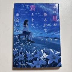 あの星が降る丘で、君とまた出会いたい。のサムネイル