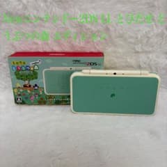 New Nintendo 2DS LL Console Set: Animal Crossing: New Leaf