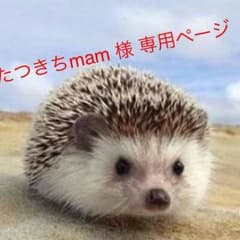 たつきちmam様 専用ページのサムネイル
