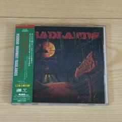 BADLANDS/VOODOO HIGHWAY 国内盤 帯付！バッドランズ - メルカリ