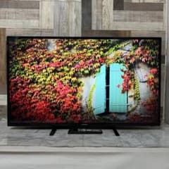 即日受渡❣️全国送料込JAPANNEXT 43インチワイド4K対応液晶