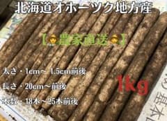 北海道オホーツク地方産 新鮮土付き細ごぼう　農家直送 1kgのサムネイル