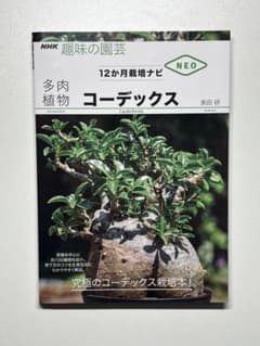 NHK 趣味の園芸 多肉植物 コーデックス 12か月栽培ナビ 長田研のサムネイル