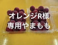 オレンジR様専用やまもものサムネイル