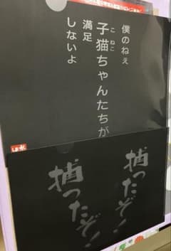 수요일 어떨까요 엔터테인먼트 복권 클리어 파일 2장 세트로 상