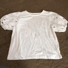 Tシャツのサムネイル