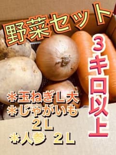 【送料込み】ベジボックスのサムネイル