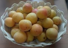 完熟梅 １キロ 無農薬栽培 自然栽培のサムネイル