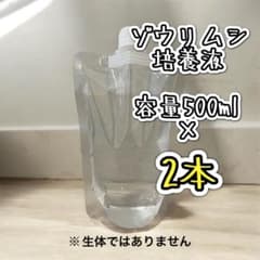 ゾウリムシ培養液 #500ml×2本 #メダカ#金魚#針子#稚魚#餌のサムネイル